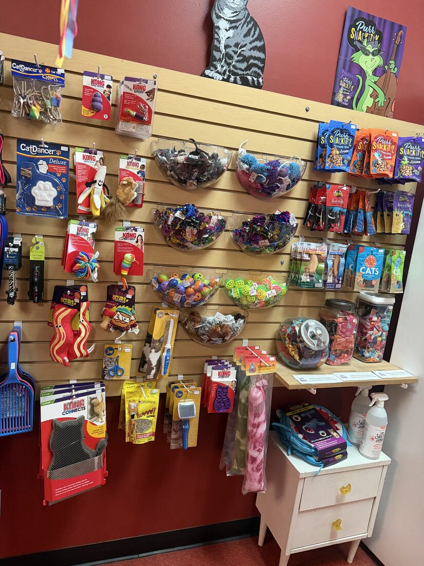 A colorful wall of pet toys at Bone-a-Fido Bakery
